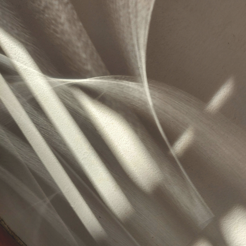 publicaciones instagram